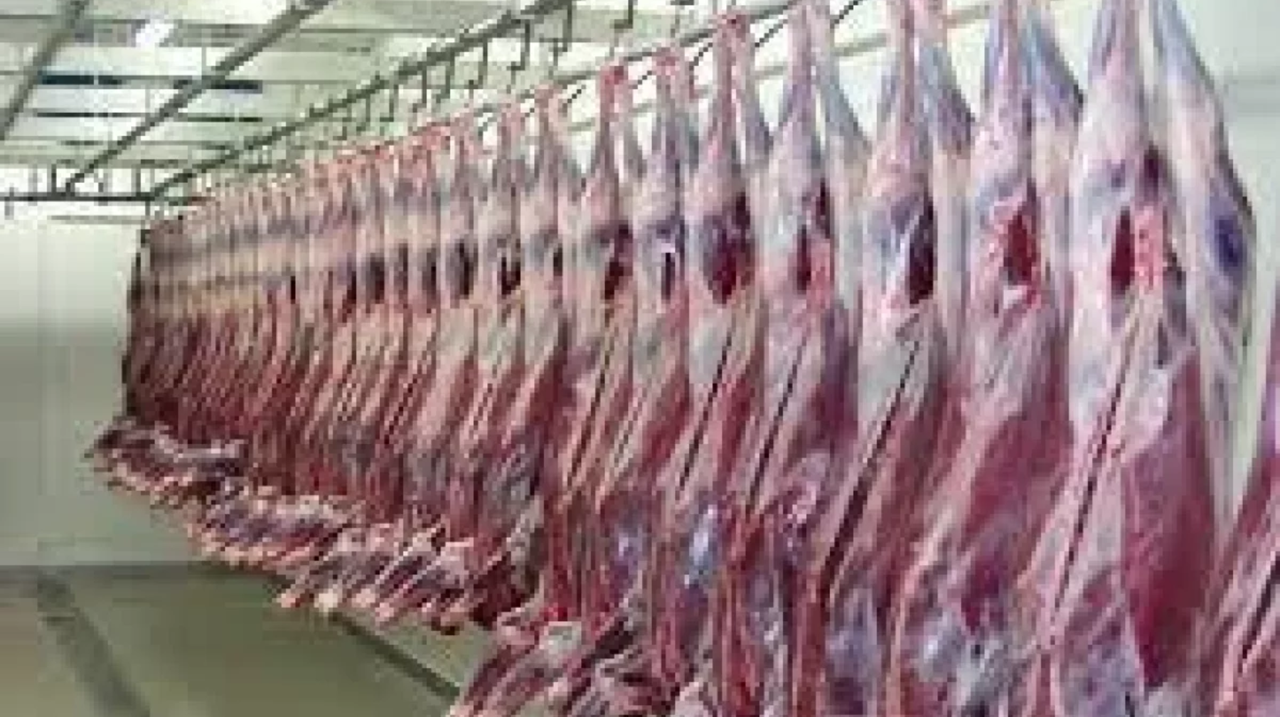 Aýyl sharýashylyǵy vıse-mınıstri kıik etin qoryqpaı ala berýge bolatynyna sendirdi 