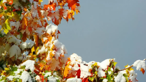 5 қарашада еліміздің басым бөлігінде қар жауады