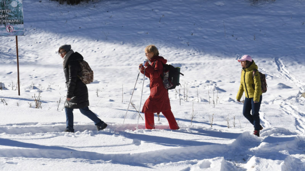 الماتى تاۋىندا 750 شاقىرىمعا جۋىق سوقپاق اباتتاندىرىلدى