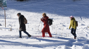 Алматы тауында 750 шақырымға жуық соқпақ абаттандырылды