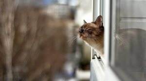 Qazgıdromet Astana, Almaty jáne taǵy 9 qala turǵyndaryna eskertý jasady