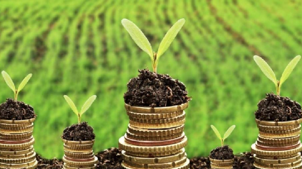 Ауыл шаруашылығына берілген жеңілдетілген несие көлемі тарихта алғаш рет 1 триллион теңгеден асты