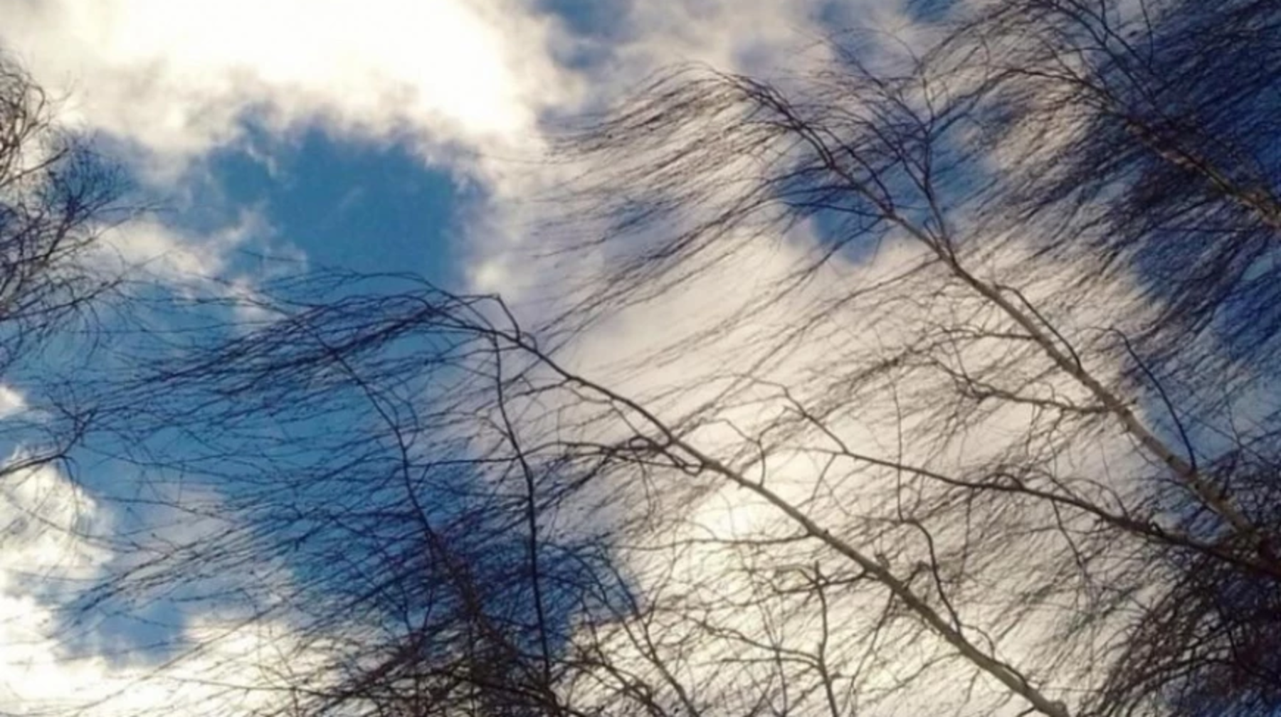 Бұлтты әрі желді: 16 қарашаның ауа райы болжамы