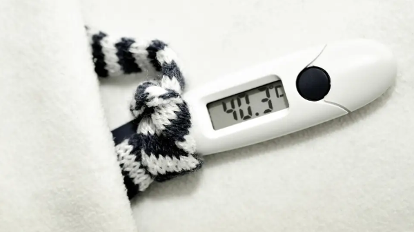 Тұмау Өзбекстанда да өршіп тұр