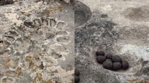 Танымал саяхатшы Ернар Алмабек ең көне "тоғызқұмалақ тасын" көрсетті 