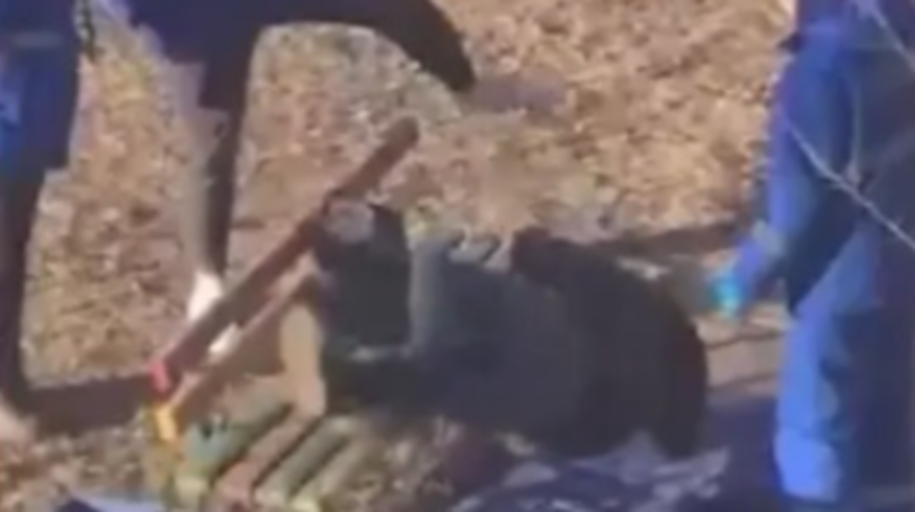 "Науқасты теуіп құлатқан". Денсаумин видеоға қатысты пікір білдірді