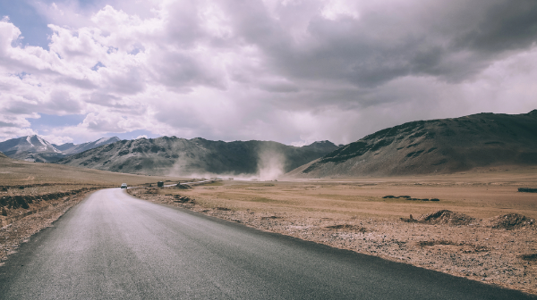 شىعىس قازاقستان وبلىسىندا كولىك قوزعالىسىنا شەكتەۋ قويىلدى