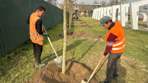«Таза Қазақстан»: Алматының Жетісу ауданында Сейфуллин–Жансүгіров жолайырығын көгалдандыру жалғасып жатыр