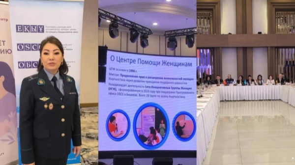 Алматыда зорлық-зомбылыққа қарсы қолдау қызметтері тәулік бойы жұмыс істейді 