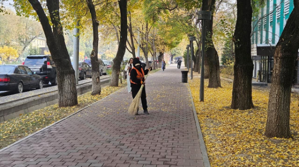 Алматы "Таза Қазақстан" бағдарламасы аясында экологиялық шаралар күшейтілді