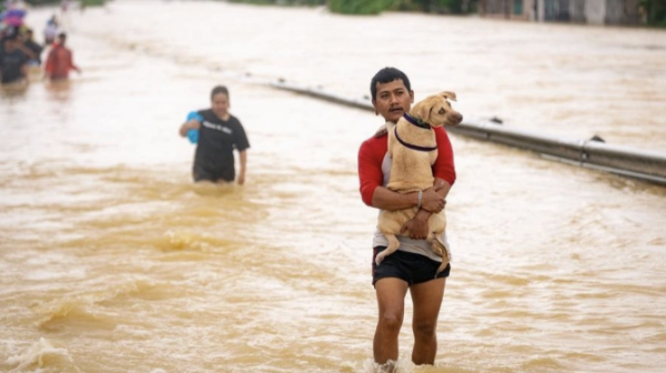 Оңтүстік-Шығыс Азиядағы табиғи апат салдарынан 500-ден астам адам қаза тапты