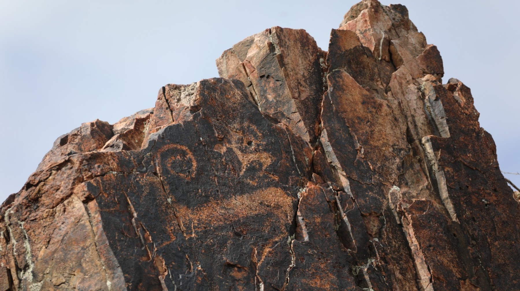 «Петроглиф ізшілері» биыл біраз тың дүниелер тапты