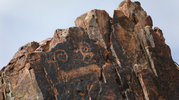 «Петроглиф ізшілері» биыл біраз тың дүниелер тапты