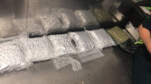 Есірткі тасымалдаған шетел азаматына сот үкімі шықты 