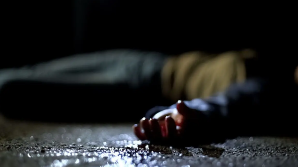 Jambyl oblysynda 40 jastaǵy áıeldi asa qatygezdikpen óltirip ketken