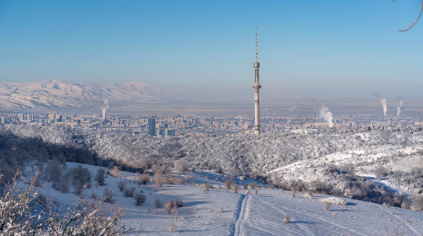 الماتى الداعى بەس جىلدا قالاي وزگەرەدى؟