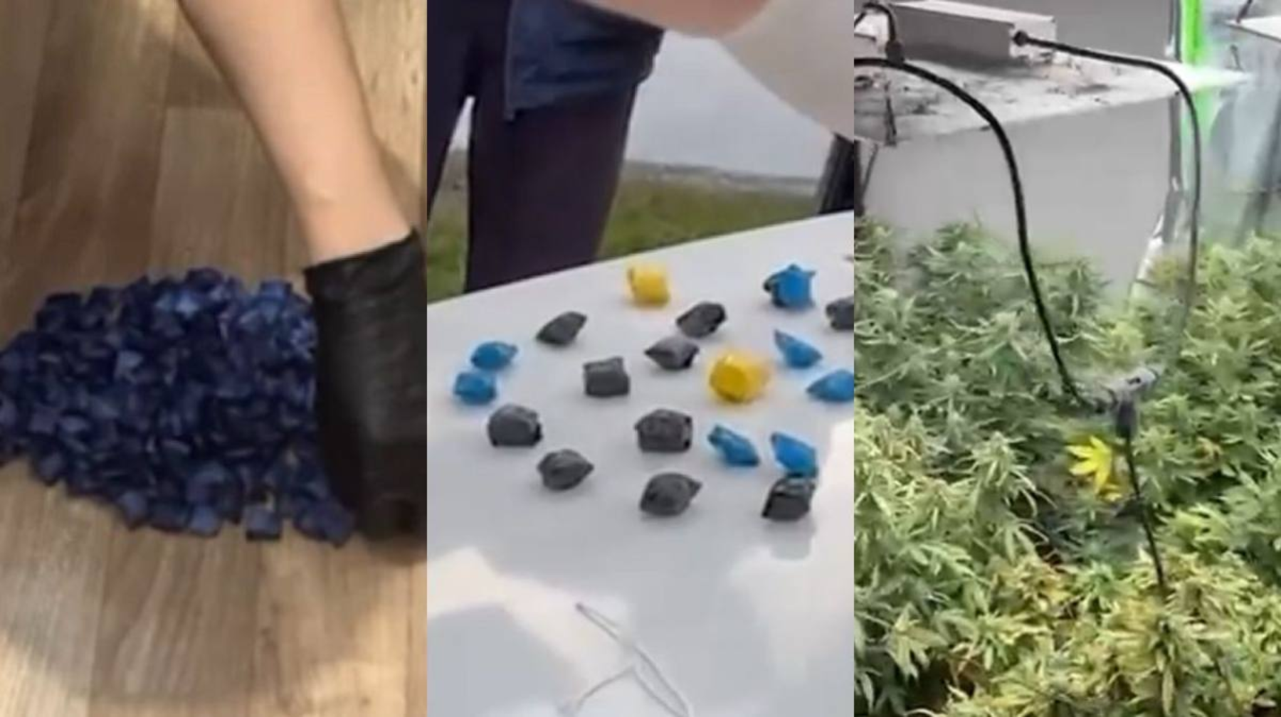 الماتىدا جىل باسىنان بەرى شامامەن 600 ەسىرتكى قىلمىسى انىقتالدى