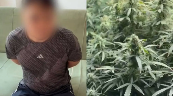 الماتىداعى كوپقاباتتى ۇيدەن ەسىرتكى زەرتحاناسى تابىلدى (ۆيدەو)