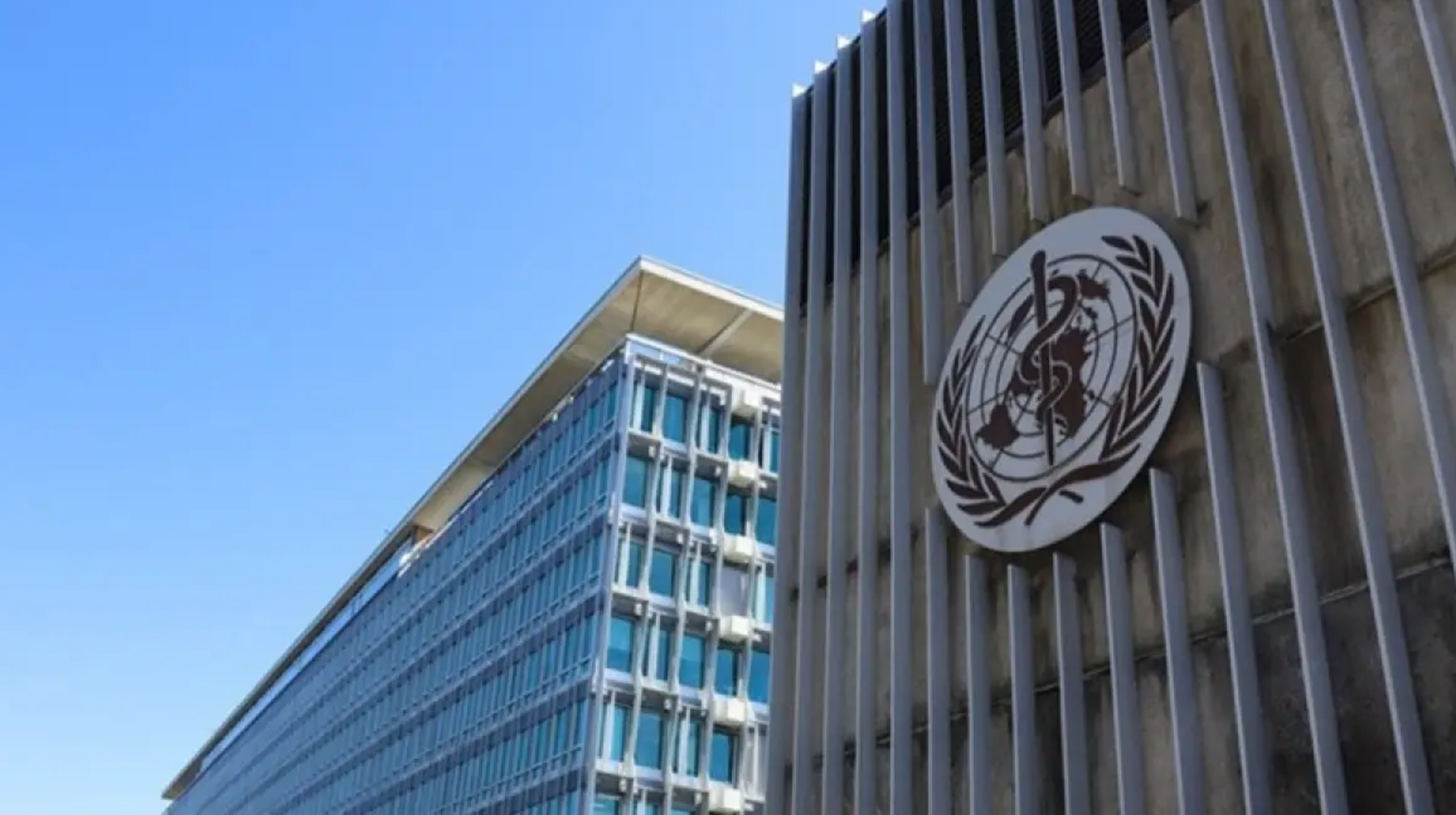 DDU Gonkong tumaýynyń tez taralyp jatqanyn eskertti