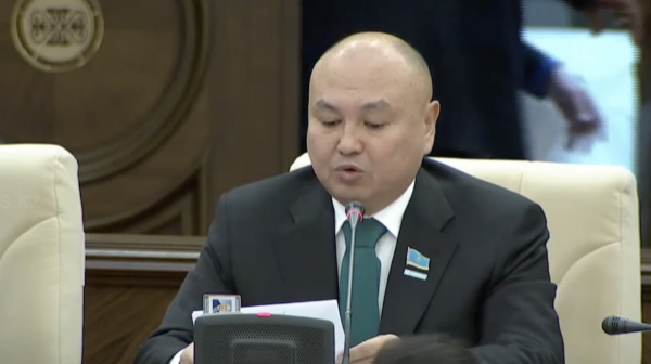 دەپۋتات رۋعا ءبولىنۋدى ناسيحاتتايتىن كونتەنت پەن فيلمدەرگە توسقاۋىل قويۋدى ۇسىندى