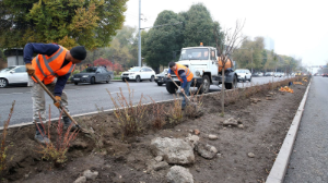 Алматы әкімі 49 шақырым болатын 11 көшеде кешенді көріктендіру жұмыстары жүргізілгенін мәлімдеді