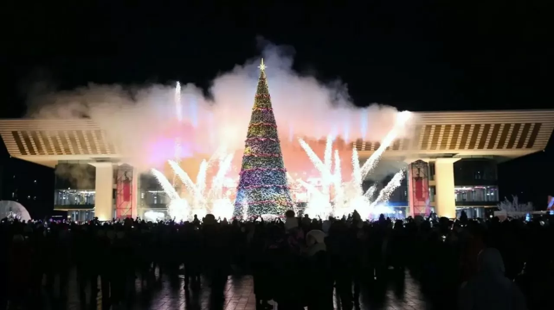 Búgin Almatynyń bas shyrshasy jaǵylady