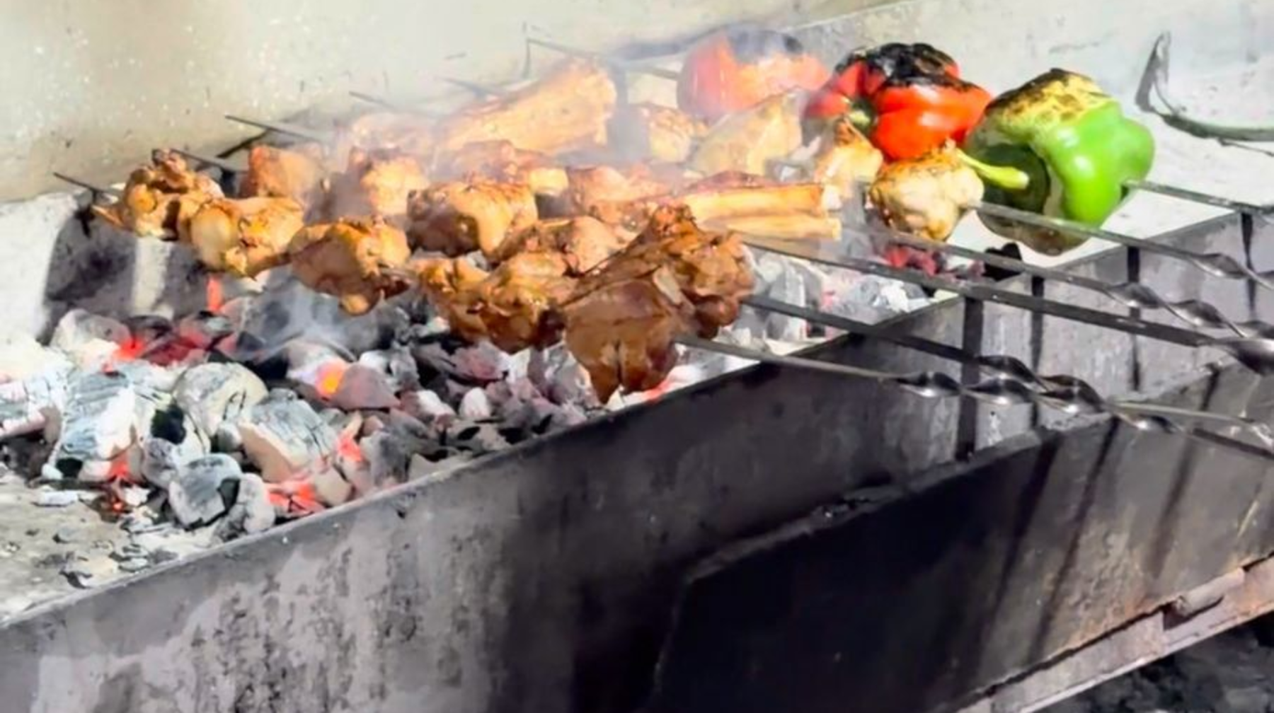 Almatynyń taza aýasy: káýaphanalar men monshalardy baqylaý barysy