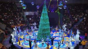 Алматылық цирктегі жаңа жыл сиқыры: CHRISTMAS STARS
