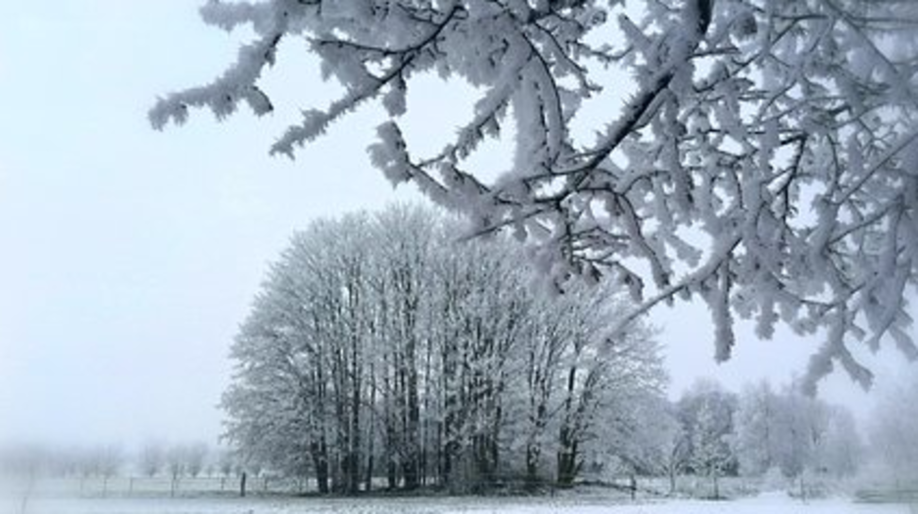 Ауа райына байланысты бірқатар өңірде ескерту жарияланды