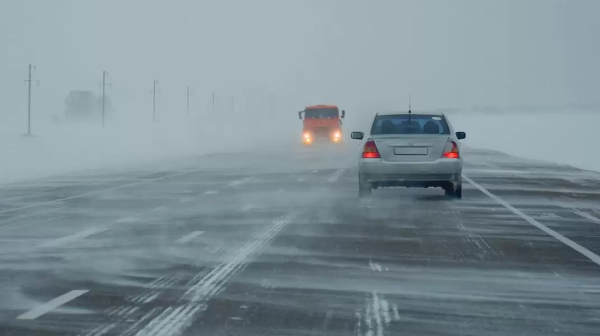 Елдегі жолдардың қайсысы ашық, қайсысы жабық? 