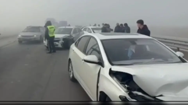 Шымкент – Алматы тасжолында төрт көлік соқтығысты