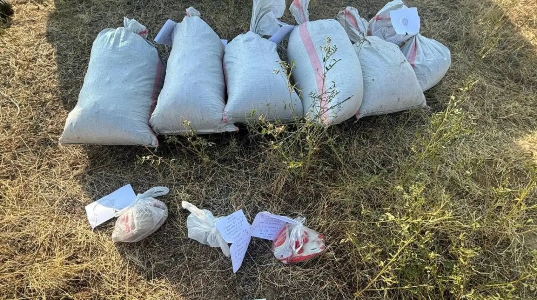 Жамбыл облысында бірнеше қап есірткі тасыған төрт адам ұзақ мерзімге сотталып кетті