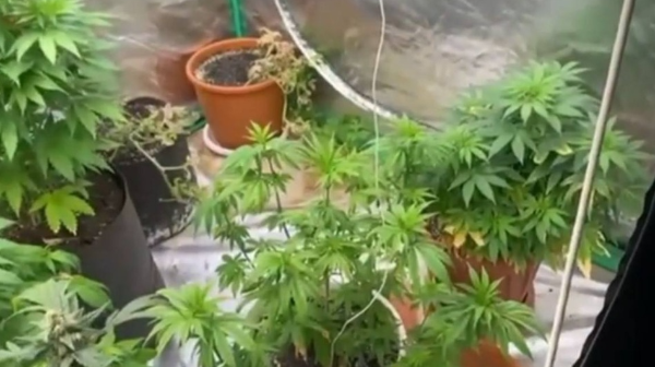 Qaraǵandy oblysynda 70 jastaǵy zeınetkerdiń úıinen qarasora tabyldy