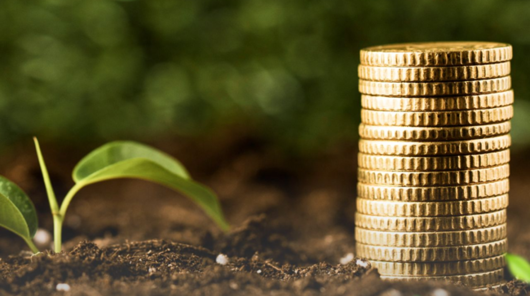 ҚазАгроҚаржы айыппұлдарды есептен шығару акциясын жариялайды