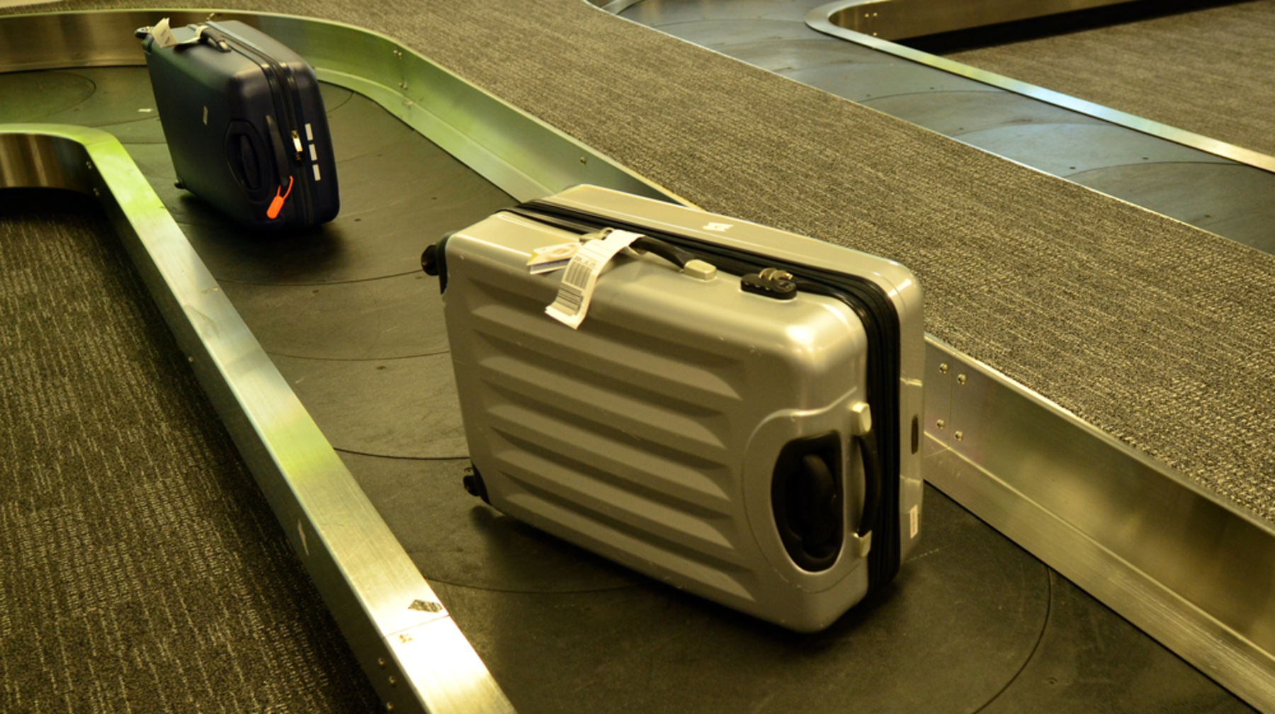 Ushaq bortyna qurt alyp kirýge ruqsat pa? 