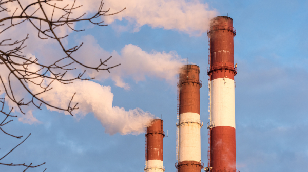  Qazaqstandaǵy eń las qala ataldy