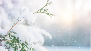 Бүгін Алматыда ауа райы қандай болады?