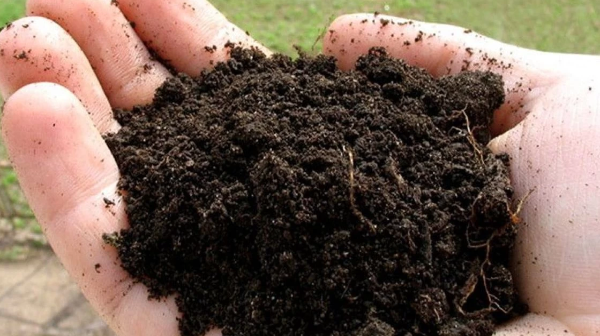 Қазақстанда 17 млн жердің құнарлылығы тексеріледі