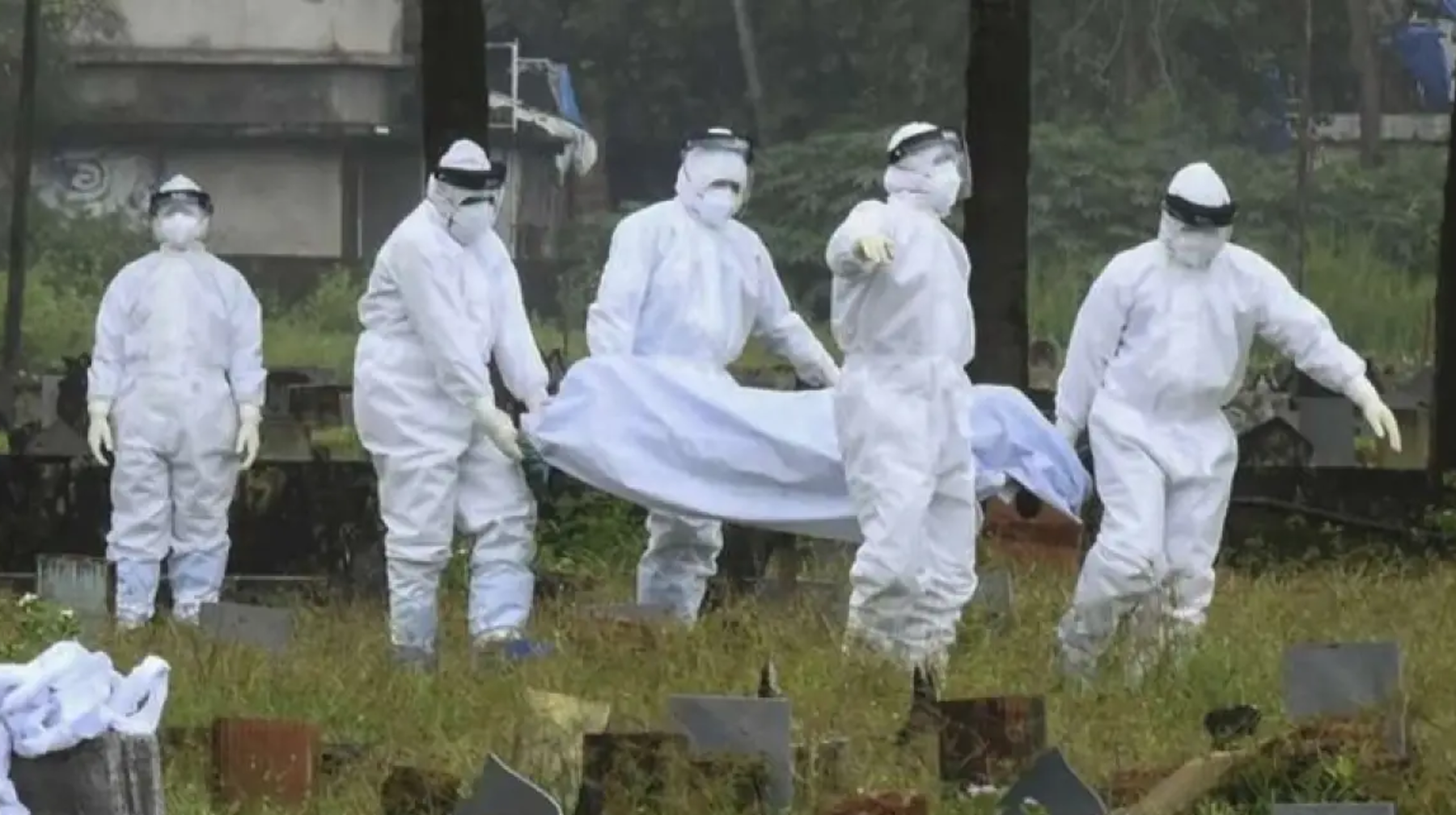 Úndistanda Nıpah vırýsy órshidi