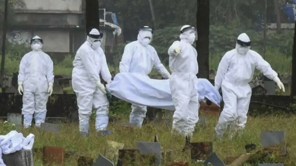 Úndistanda Nıpah vırýsy órshidi