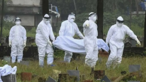 Үндістанда Нипах вирусы өршіді