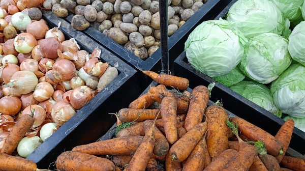 الماتىدا الەۋمەتتىك ماڭىزى بار ازىق-تۇلىك تاۋارلارىنىڭ باعاسىن تۇراقتاندىرۋ ماقساتىندا جەڭىلدەتىلگەن نەسيە الۋعا ءوتىنىم قابىلداۋ باستالدى  