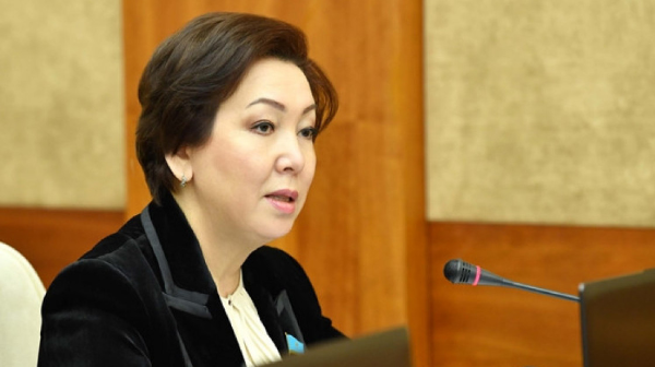 Жаңа Конституция мемлекеттіліктің жаңа кезеңінің негізіне айналады – Дания Еспаева