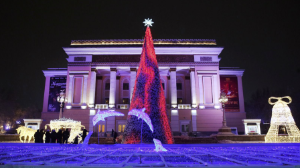 Алматыда жаңа жылдық шыршалар қашан жиналады?