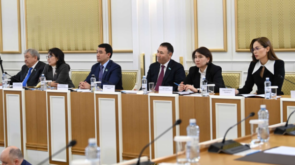 Жаңа Конституция мәтінін Брайль қарпімен жазу ұсынылды