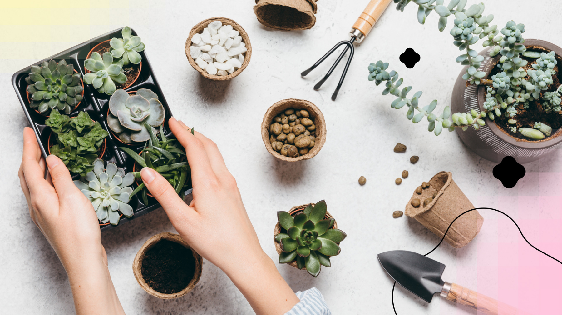 Хоббидің пайдасы