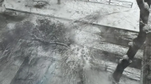 Шымкентте қолайсыз ауа райынан ағаш құлап, бала қаза тапты