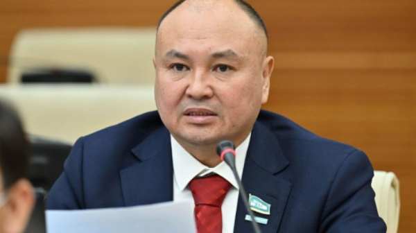 Ерлан Саиров: жаңа Конституция жобасында мемлекеттің саяси тұрақтылығын қамтамасыз ететін тетіктер қарастырылды