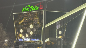 Алматыда экология талаптарын бақылауға дрондар қолданылуы мүмкін