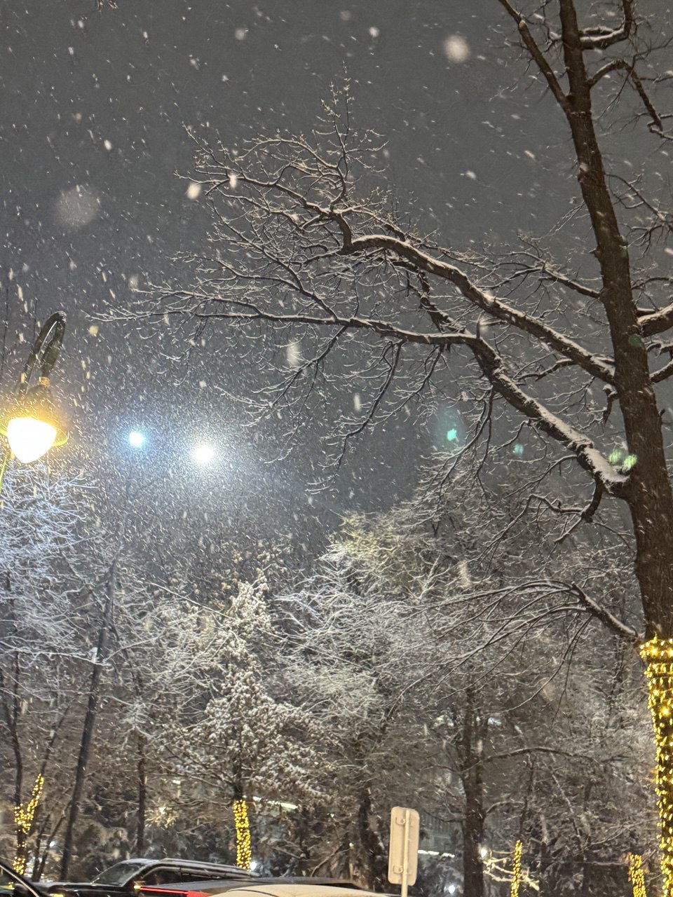 Бүгін еліміздің басым бөлігіне дауылды ескерту жарияланды